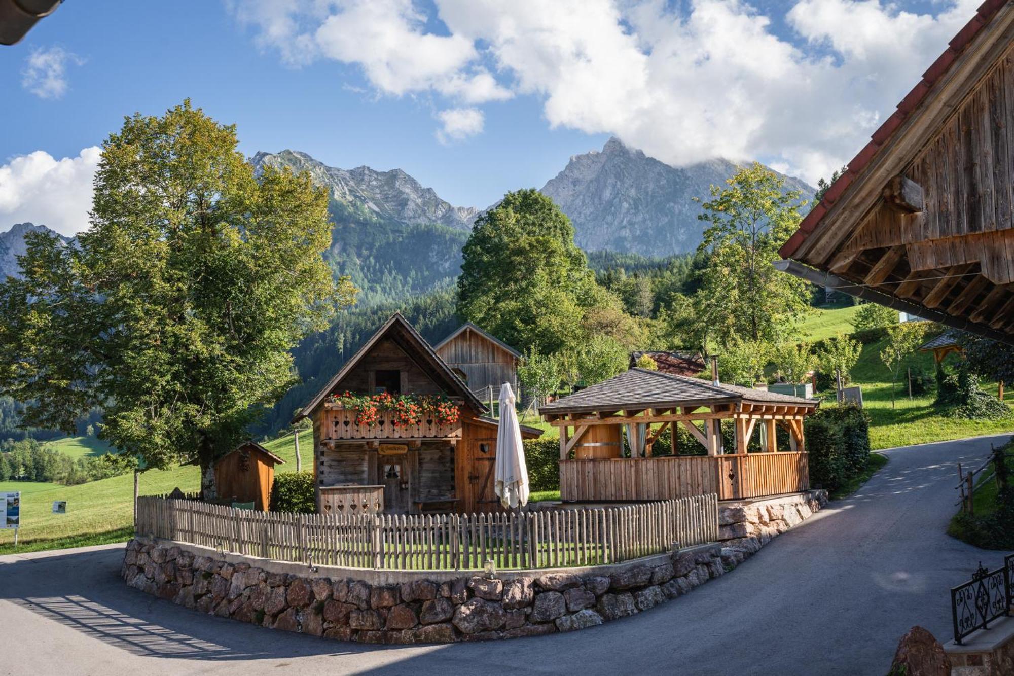 Singerskogel - Ferienhof Und Jausnstub'N Spital Am Pyhrn Exterior foto