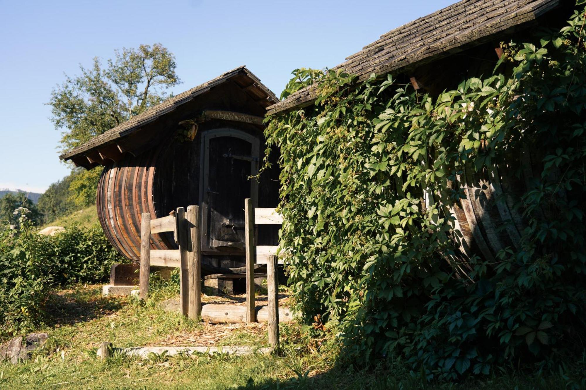 Singerskogel - Ferienhof Und Jausnstub'N Spital Am Pyhrn Exterior foto