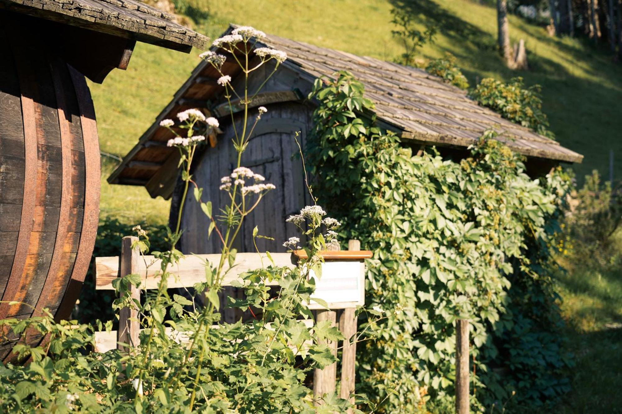 Singerskogel - Ferienhof Und Jausnstub'N Spital Am Pyhrn Exterior foto