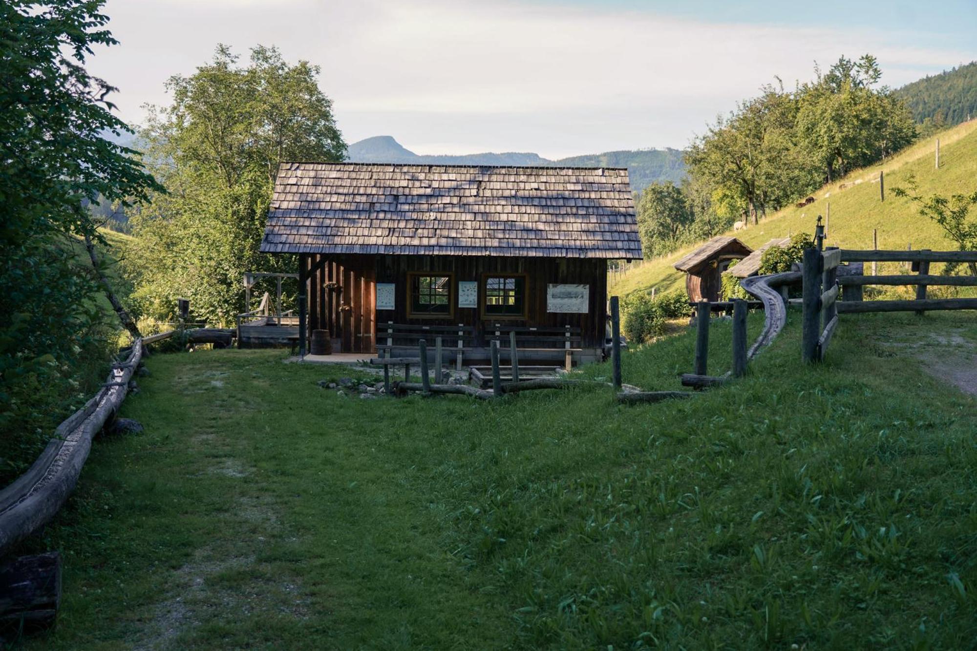 Singerskogel - Ferienhof Und Jausnstub'N Spital Am Pyhrn Exterior foto
