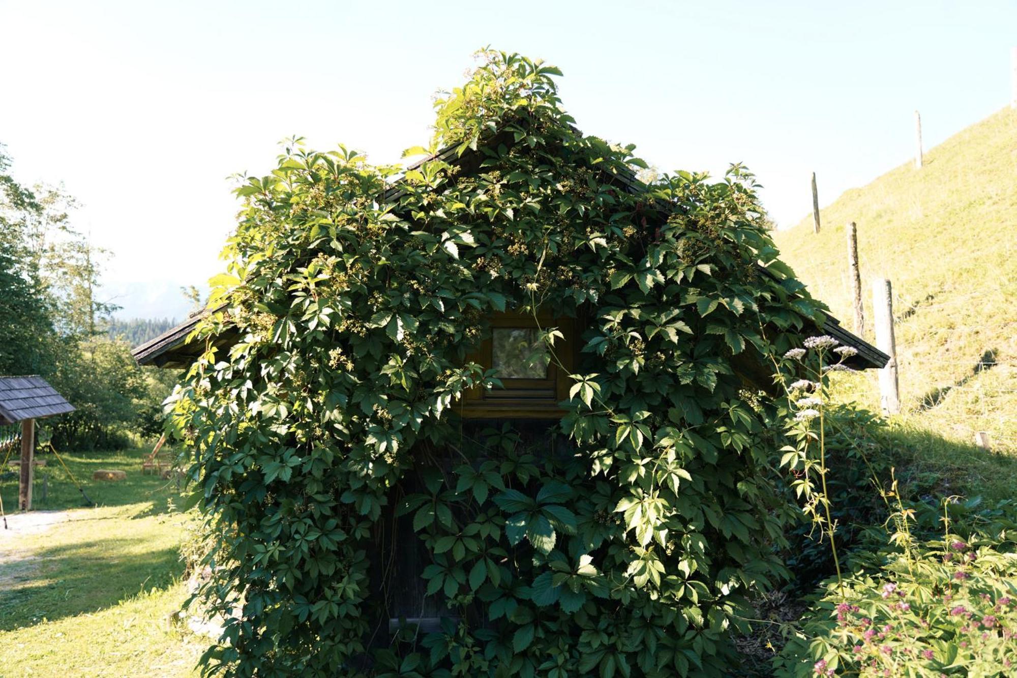 Singerskogel - Ferienhof Und Jausnstub'N Spital Am Pyhrn Exterior foto